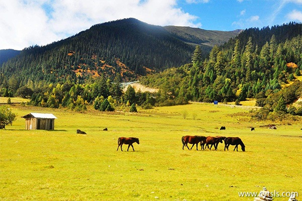 西藏旅游需要準備什么