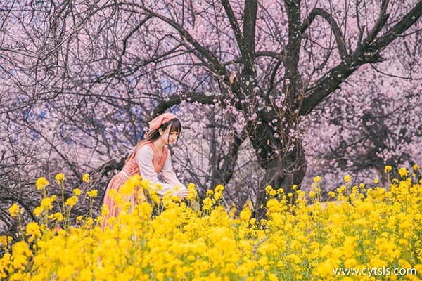 西藏桃花節幾月幾日