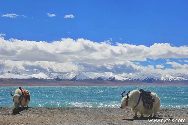 多少錢(qián)夠在西藏旅游8天