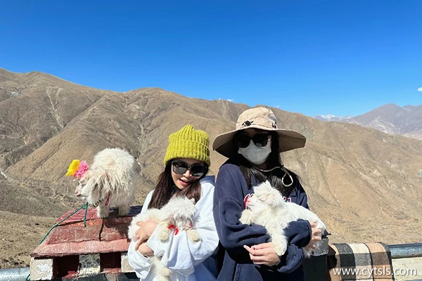 西藏當地團7天6晚費用要多少