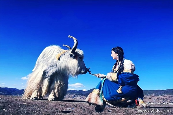 兩個人拉薩一周游多少錢
