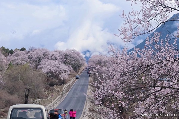 跟團去西藏得花多少錢