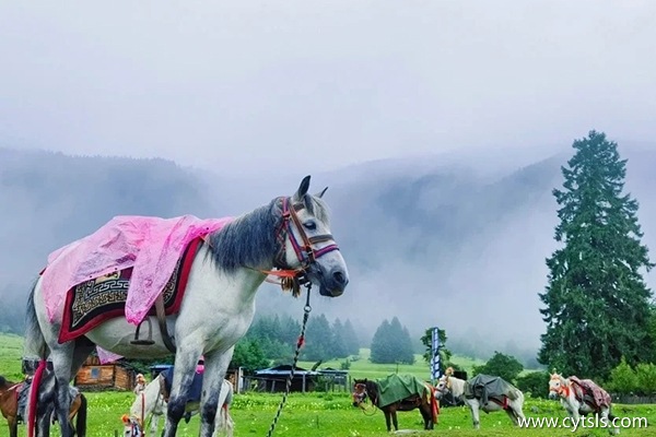 西藏春節旅游攻略