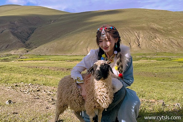 三月從洛陽(yáng)到拉薩玩要多少錢(qián)
