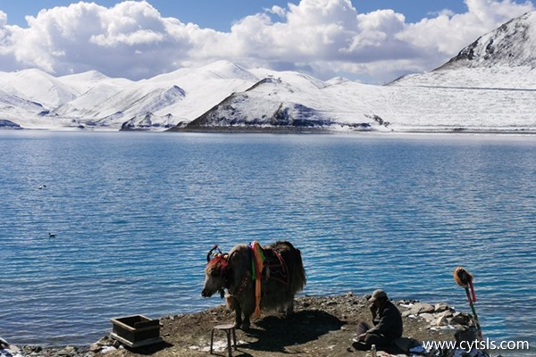 福建廈門(mén)去西藏旅游人均多少錢(qián)
