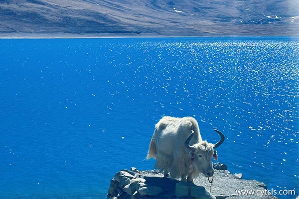 一周的西藏旅游怎么規劃