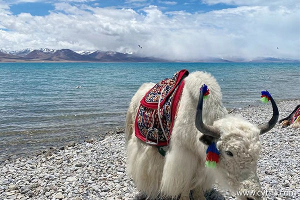 一周的西藏旅游怎么規劃